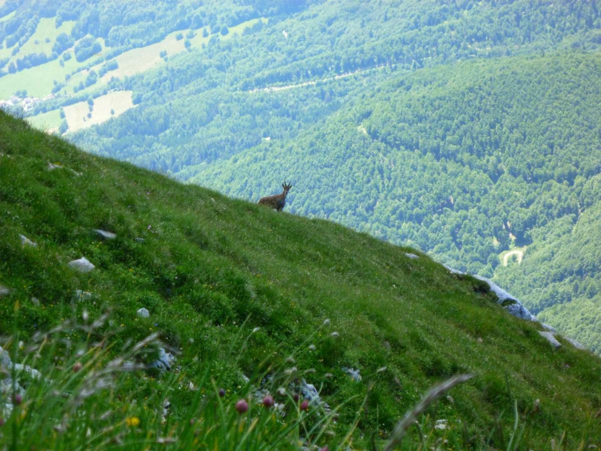 Ferienwohnung La Moraine Villard-de-Lans Exterior foto